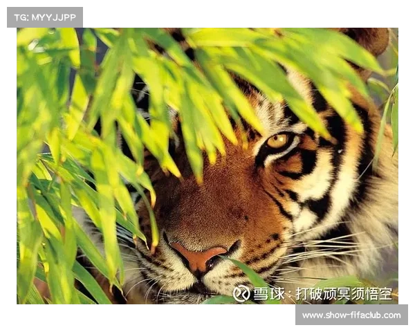 克林根透露已安慰瀚森坚持耐心机会终会到来 克林根透露已安慰瀚森坚持耐心机会终会到来